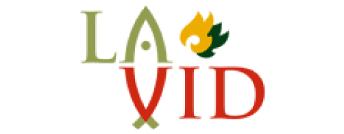 LaVid-desarrollo-paginas-web-y-mantenimiento